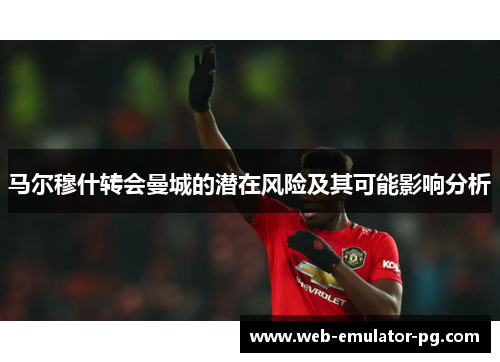 马尔穆什转会曼城的潜在风险及其可能影响分析